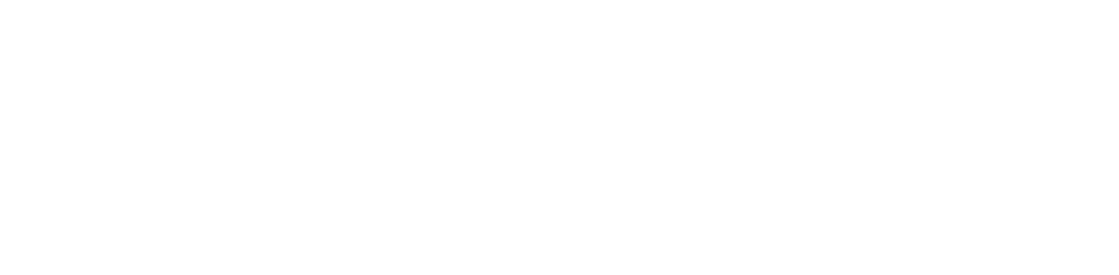 Weliton Silva